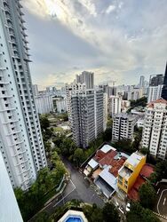 Rajah Tower (D12), Apartment #561645141